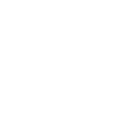 Hg2n Icon Vision