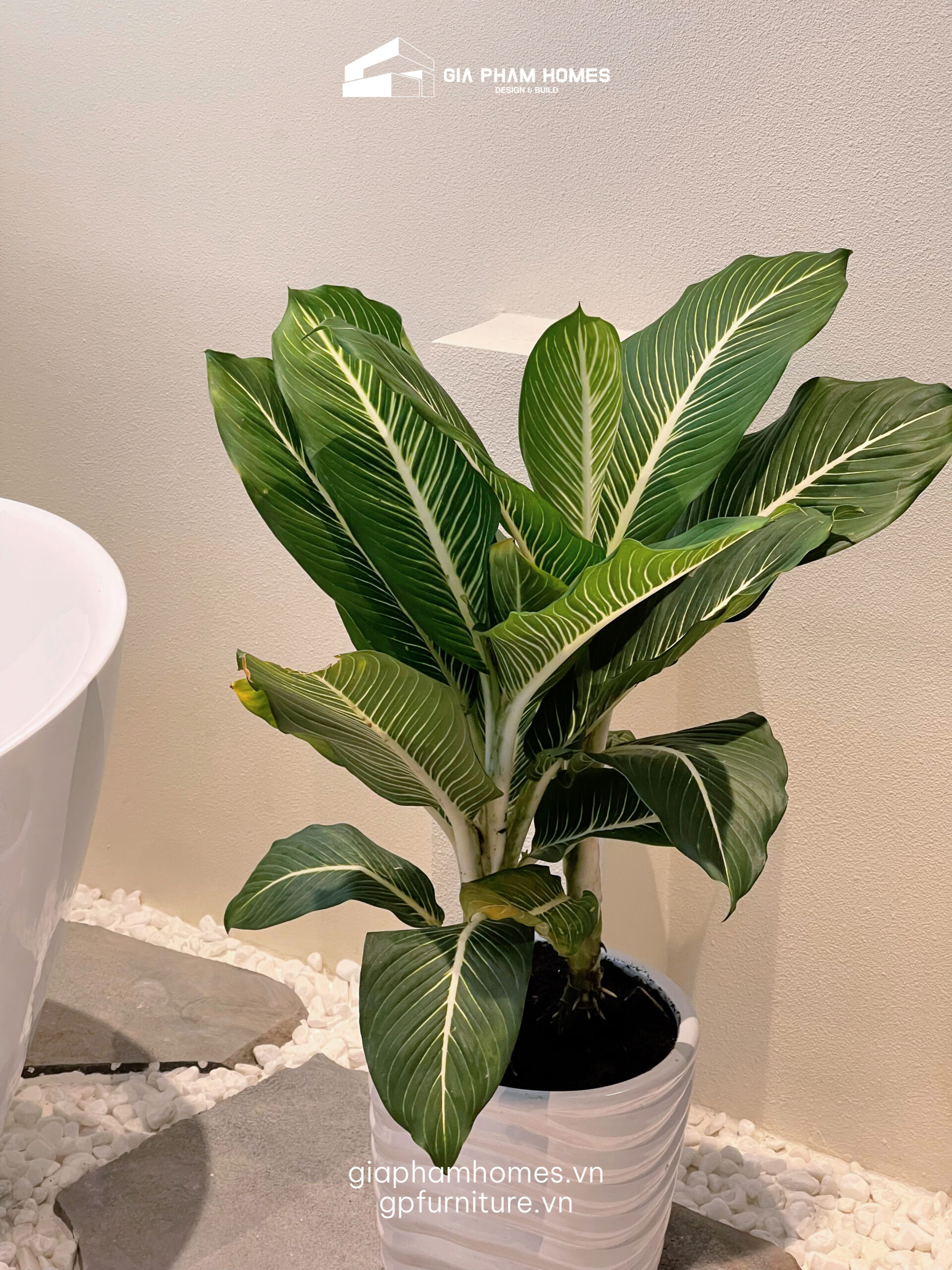 Thi Công Nội Thất Nhà Phố Gò Vấp – Vẻ Đẹp Hiện Đại - 24 | THI CÔNG XÂY DỰNG - SẢN XUẤT, LẮP ĐẶT NỘI THẤT: NHÀ Ở, VĂN PHÒNG, KHÁCH SẠN... - GIA PHAM HOMES Design & Construction